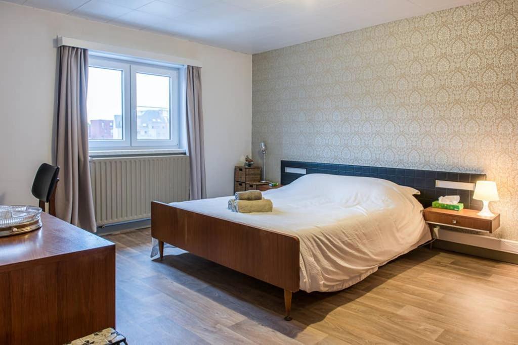 Vakantiewoning In Mol Centrum Met Eigen Bar "Casacuriosa" Zewnętrze zdjęcie