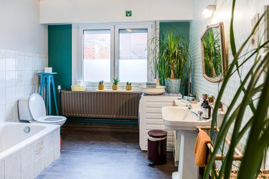 Vakantiewoning In Mol Centrum Met Eigen Bar "Casacuriosa" Zewnętrze zdjęcie